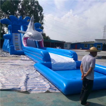 Big Shark Pool Slide Inflatable For Sale