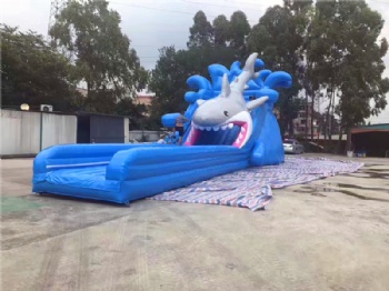 Big Shark Pool Slide Inflatable For Sale	