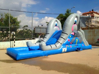 School elephant Water Slide Inflatable Isreal
