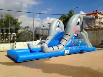  School elephant Water Slide Inflatable Isreal	