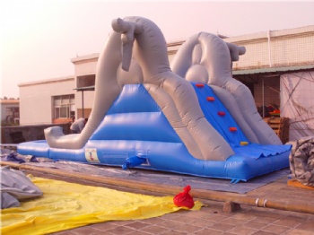  School elephant Water Slide Inflatable Isreal	