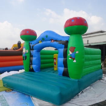 Children inflatable Jumping house