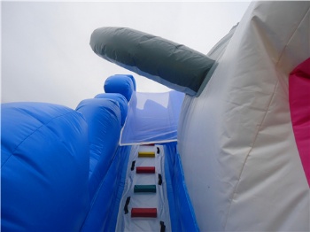  Inflatable Shark Slide Theme Park Italy	