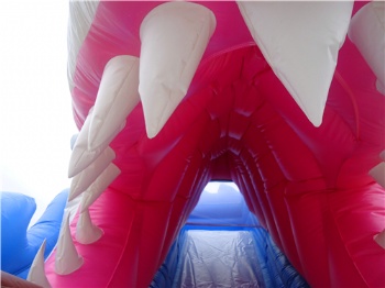  Inflatable Shark Slide Theme Park Italy	